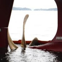 Ship Management